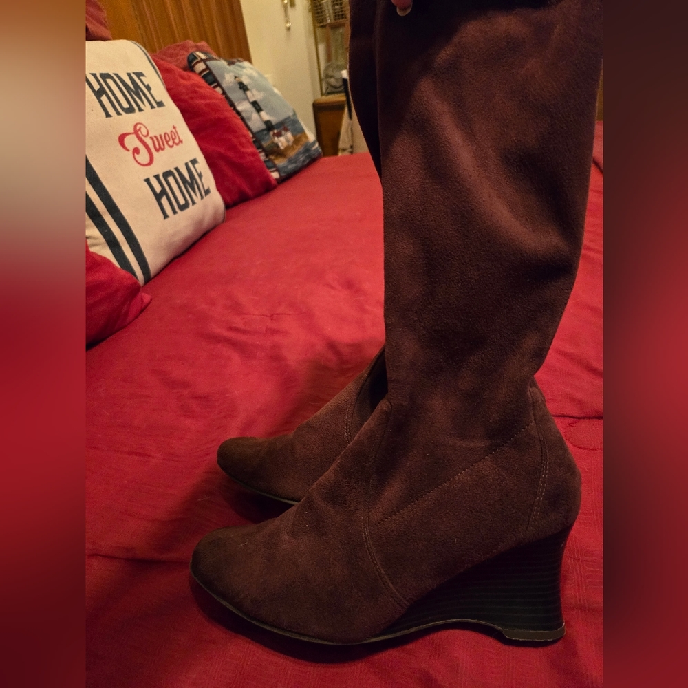 Pretty dark brown, zip up suede boots with 2 inch heel. Size 6 1/2.
